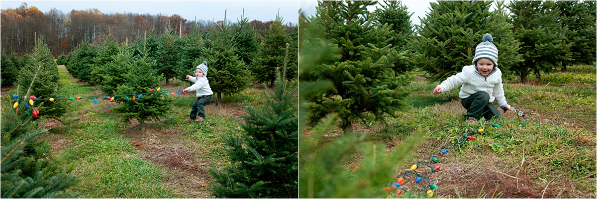 The Wilson Family |Christmas Tree Farm|